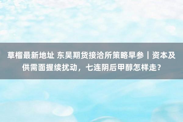 草榴最新地址 东吴期货接洽所策略早参｜资本及供需面握续扰动，七连阴后甲醇怎样走？