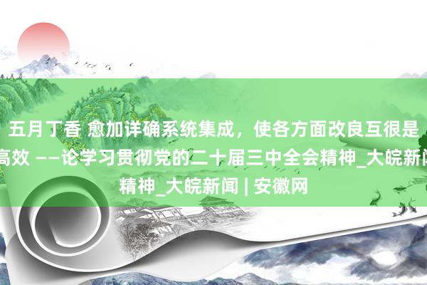 五月丁香 愈加详确系统集成，使各方面改良互很是合、协同高效 ——论学习贯彻党的二十届三中全会精神_大皖新闻 | 安徽网