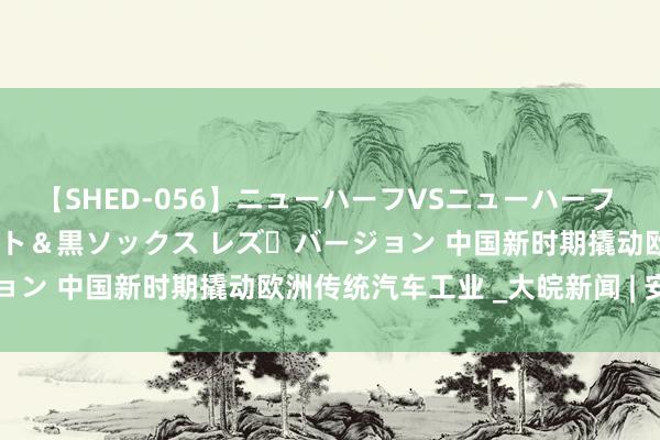 【SHED-056】ニューハーフVSニューハーフ 不純同性肛遊 3 黒パンスト＆黒ソックス レズ・バージョン 中国新时期撬动欧洲传统汽车工业 _大皖新闻 | 安徽网