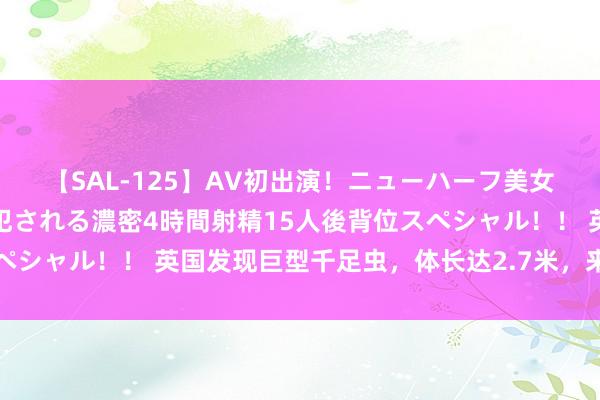 【SAL-125】AV初出演！ニューハーフ美女達が強烈バックで全員犯される濃密4時間射精15人後背位スペシャル！！ 英国发现巨型千足虫，体长达2.7米，来自邃古时期