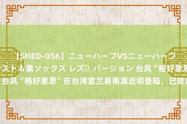 【SHED-056】ニューハーフVSニューハーフ 不純同性肛遊 3 黒パンスト＆黒ソックス レズ・バージョン 台风“格好意思”在台湾宜兰县南澳近邻登陆，已致台湾2死201伤