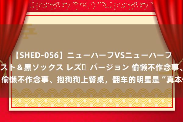 【SHED-056】ニューハーフVSニューハーフ 不純同性肛遊 3 黒パンスト＆黒ソックス レズ・バージョン 偷懒不作念事、抱狗狗上餐桌，翻车的明星是“真本性”照旧愚蠢？