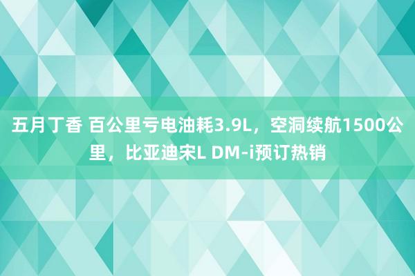 五月丁香 百公里亏电油耗3.9L，空洞续航1500公里，比亚迪宋L DM-i预订热销