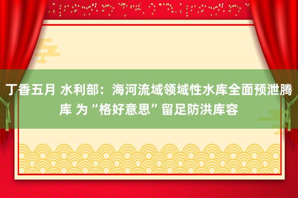 丁香五月 水利部：海河流域领域性水库全面预泄腾库 为“格好意思”留足防洪库容