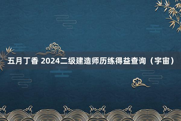 五月丁香 2024二级建造师历练得益查询（宇宙）