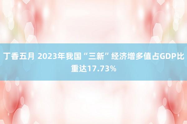 丁香五月 2023年我国“三新”经济增多值占GDP比重达17.73%