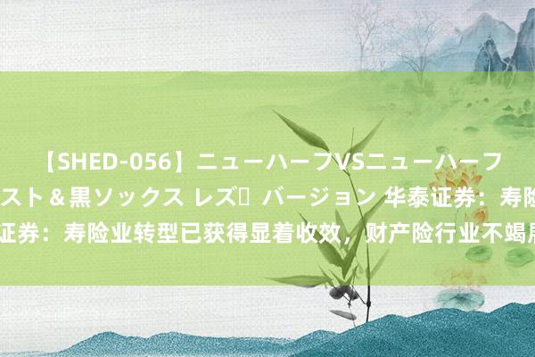 【SHED-056】ニューハーフVSニューハーフ 不純同性肛遊 3 黒パンスト＆黒ソックス レズ・バージョン 华泰证券：寿险业转型已获得显着收效，财产险行业不竭展示出较强醒目属性