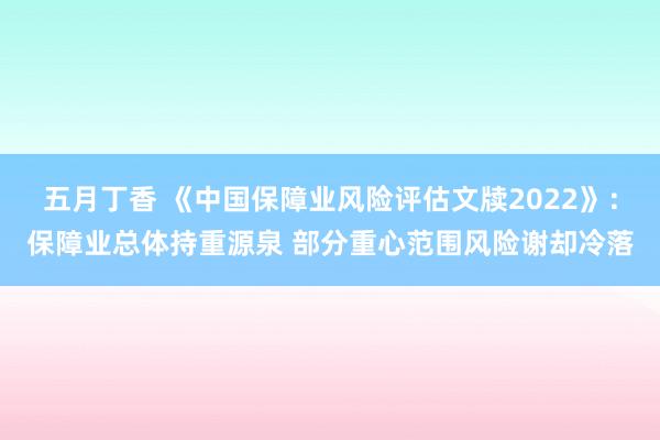 五月丁香 《中国保障业风险评估文牍2022》：保障业总体持重源泉 部分重心范围风险谢却冷落