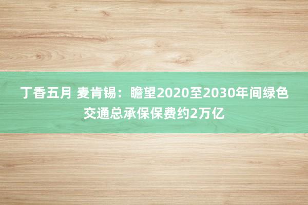 丁香五月 麦肯锡：瞻望2020至2030年间绿色交通总承保保费约2万亿