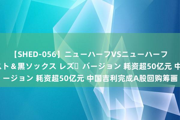 【SHED-056】ニューハーフVSニューハーフ 不純同性肛遊 3 黒パンスト＆黒ソックス レズ・バージョン 耗资超50亿元 中国吉利完成A股回购筹画