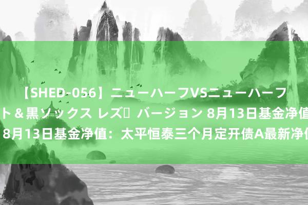 【SHED-056】ニューハーフVSニューハーフ 不純同性肛遊 3 黒パンスト＆黒ソックス レズ・バージョン 8月13日基金净值：太平恒泰三个月定开债A最新净值1.0422