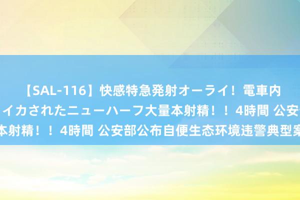 【SAL-116】快感特急発射オーライ！電車内で痴漢集団に気持ちよくイカされたニューハーフ大量本射精！！4時間 公安部公布自便生态环境违警典型案例