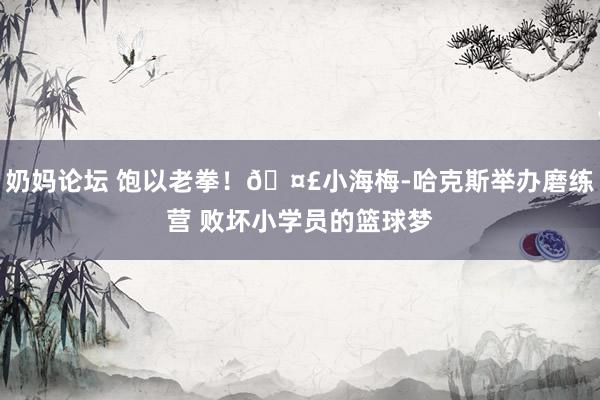 奶妈论坛 饱以老拳！?小海梅-哈克斯举办磨练营 败坏小学员的篮球梦