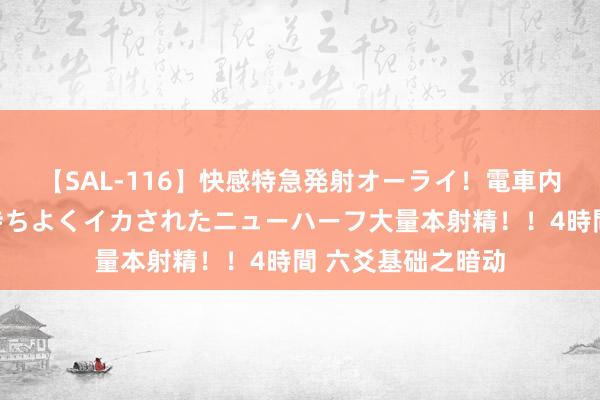 【SAL-116】快感特急発射オーライ！電車内で痴漢集団に気持ちよくイカされたニューハーフ大量本射精！！4時間 六爻基础之暗动