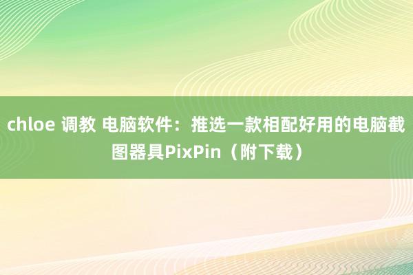 chloe 调教 电脑软件：推选一款相配好用的电脑截图器具PixPin（附下载）