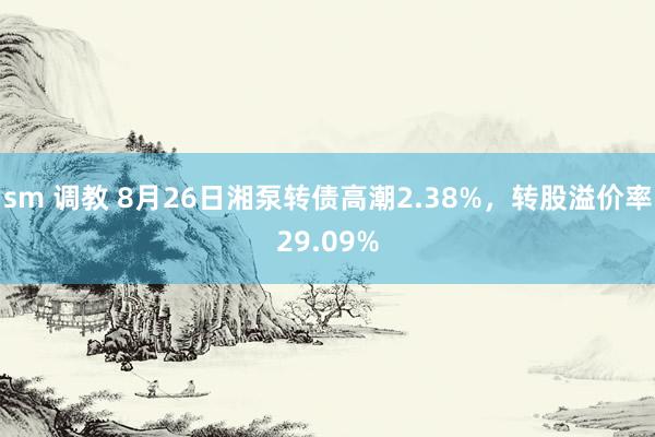 sm 调教 8月26日湘泵转债高潮2.38%，转股溢价率29.09%