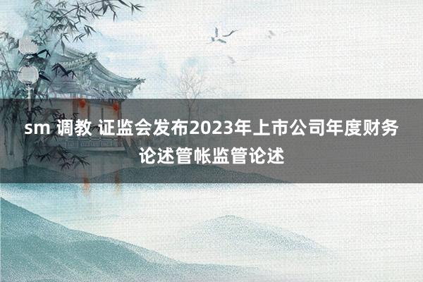 sm 调教 证监会发布2023年上市公司年度财务论述管帐监管论述