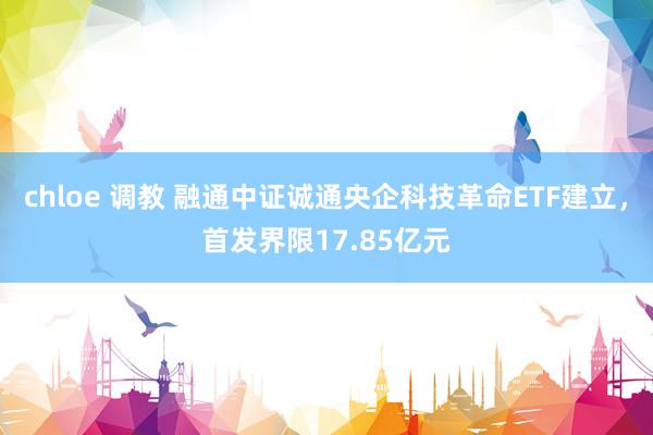 chloe 调教 融通中证诚通央企科技革命ETF建立，首发界限17.85亿元