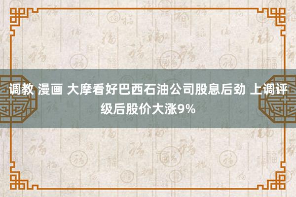 调教 漫画 大摩看好巴西石油公司股息后劲 上调评级后股价大涨9%