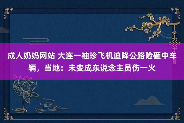 成人奶妈网站 大连一袖珍飞机迫降公路险砸中车辆，当地：未变成东说念主员伤一火