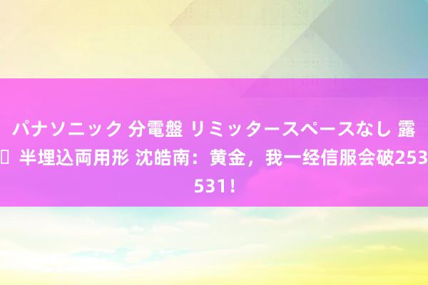 パナソニック 分電盤 リミッタースペースなし 露出・半埋込両用形 沈皓南：黄金，我一经信服会破2531！