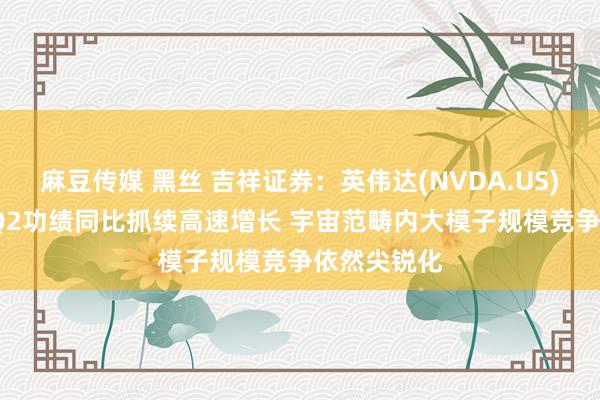 麻豆传媒 黑丝 吉祥证券：英伟达(NVDA.US)2025财年Q2功绩同比抓续高速增长 宇宙范畴内大模子规模竞争依然尖锐化