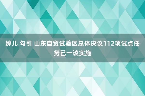 婷儿 勾引 山东自贸试验区总体决议112项试点任务已一谈实施