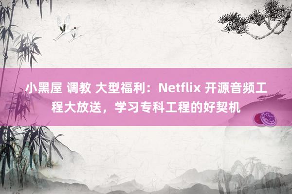 小黑屋 调教 大型福利：Netflix 开源音频工程大放送，学习专科工程的好契机