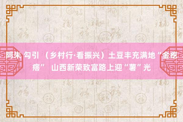 阿朱 勾引 （乡村行·看振兴）土豆丰充满地“金疙瘩”  山西新荣致富路上迎“薯”光