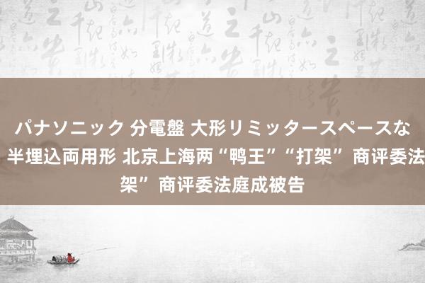 パナソニック 分電盤 大形リミッタースペースなし 露出・半埋込両用形 北京上海两“鸭王”“打架” 商评委法庭成被告